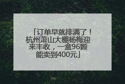 订单早就排满了！杭州萧山大棚杨梅迎来丰收，一盒96颗能卖到400元