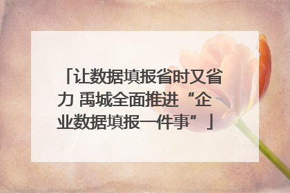 让数据填报省时又省力 禹城全面推进“企业数据填报一件事”