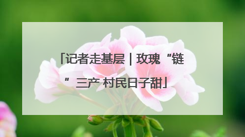 记者走基层｜玫瑰“链”三产 村民日子甜