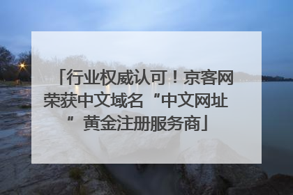 行业权威认可！京客网荣获中文域名“中文网址”黄金注册服务商