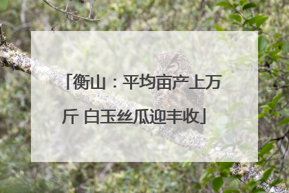 衡山：平均亩产上万斤 白玉丝瓜迎丰收