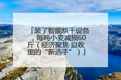 装了智能烘干设备，每吨小麦减损60斤（经济聚焦·夏收里的“新选手”）