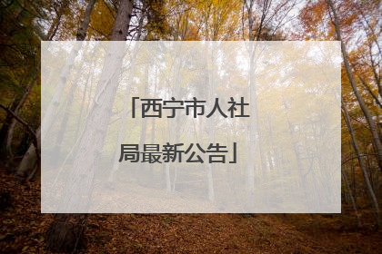 西宁市人社局最新公告