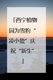 西宁植物园为雪豹“凌小蛰”庆祝“新生”