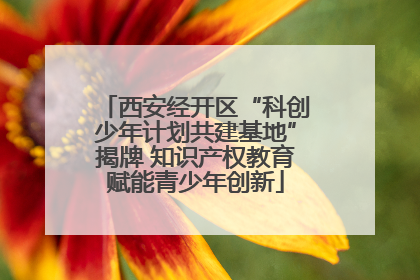 西安经开区“科创少年计划共建基地”揭牌 知识产权教育赋能青少年创新