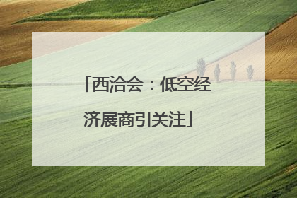 西洽会：低空经济展商引关注