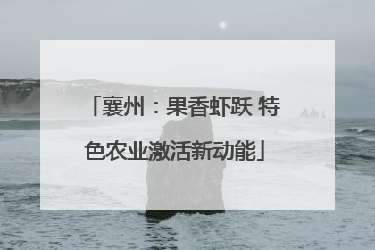 襄州：果香虾跃 特色农业激活新动能