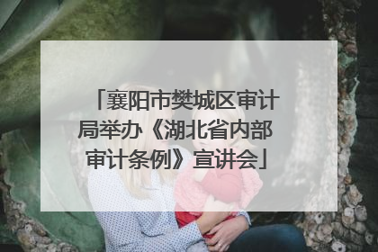 襄阳市樊城区审计局举办《湖北省内部审计条例》宣讲会