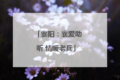 襄阳：襄爱助听 情暖老兵