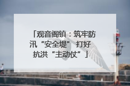 观音阁镇：筑牢防汛“安全堤” 打好抗洪“主动仗”