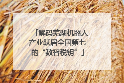 解码芜湖机器人产业跃居全国第七的“数智税钥”