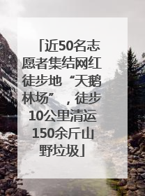 近50名志愿者集结网红徒步地“天鹅林场”，徒步10公里清运150余斤山野垃圾