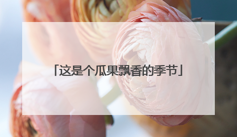 这是个瓜果飘香的季节