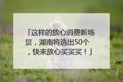 这样的放心消费新场景，湖南将选出50个，快来放心买买买！