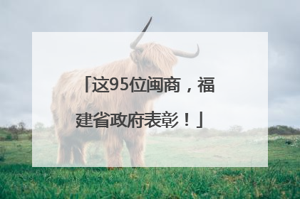 这95位闽商，福建省政府表彰！