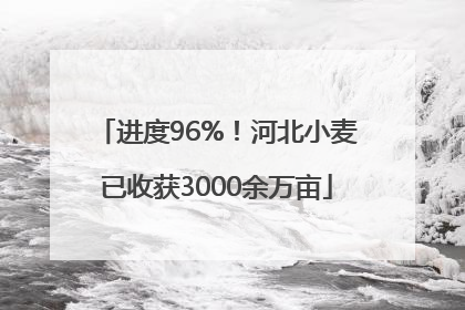 进度96%！河北小麦已收获3000余万亩