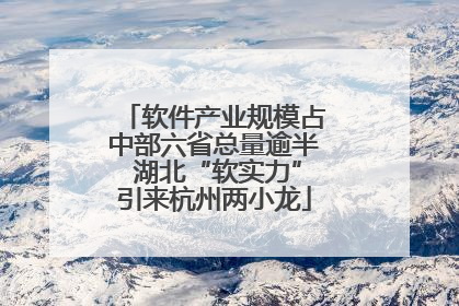 软件产业规模占中部六省总量逾半 湖北“软实力”引来杭州两小龙