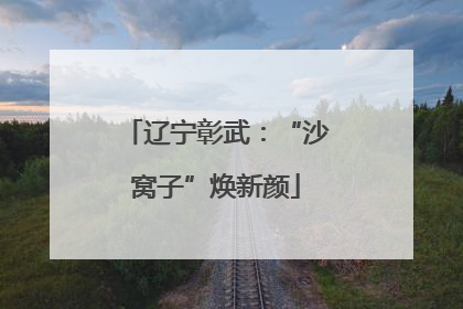 辽宁彰武：“沙窝子”焕新颜