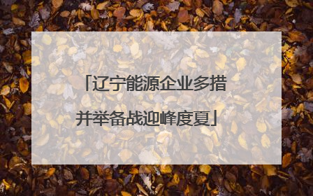 辽宁能源企业多措并举备战迎峰度夏