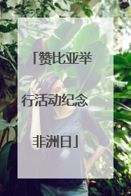 赞比亚举行活动纪念非洲日