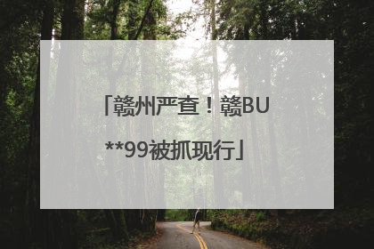 赣州严查！赣BU**99被抓现行