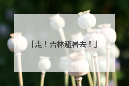 走！吉林避暑去！