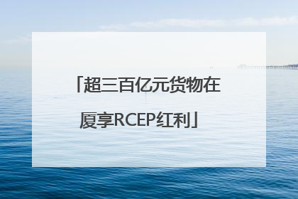 超三百亿元货物在厦享RCEP红利