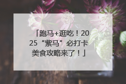 跑马+逛吃！2025“紫马”必打卡美食攻略来了！