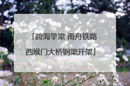 跨海擎梁 甬舟铁路西堠门大桥钢梁开架