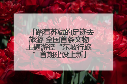 踏着苏轼的足迹去旅游 全国首条文物主题游径“东坡行旅”首期建设上新