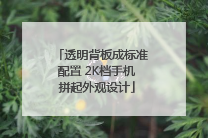 透明背板成标准配置 2K档手机拼起外观设计