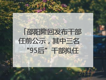 邵阳隆回发布干部任前公示，其中三名“95后”干部拟任副科级领导，均系硕士选调生