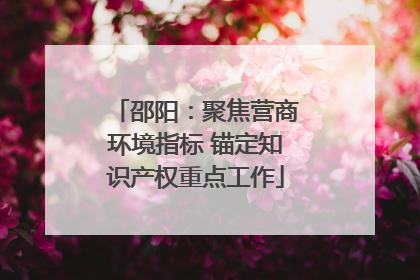 邵阳：聚焦营商环境指标 锚定知识产权重点工作
