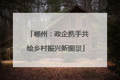 郴州：政企携手共绘乡村振兴新图景