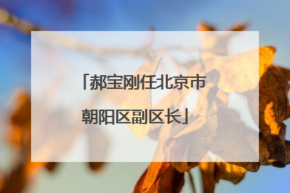 郝宝刚任北京市朝阳区副区长