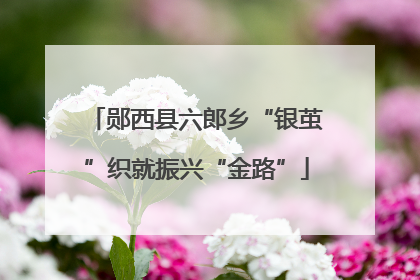 郧西县六郎乡“银茧”织就振兴“金路”
