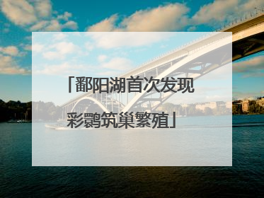 鄱阳湖首次发现彩鹮筑巢繁殖