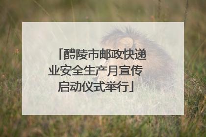 醴陵市邮政快递业安全生产月宣传启动仪式举行