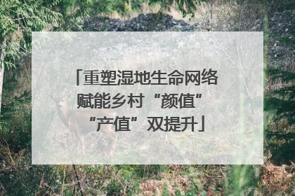 重塑湿地生命网络 赋能乡村“颜值”“产值”双提升