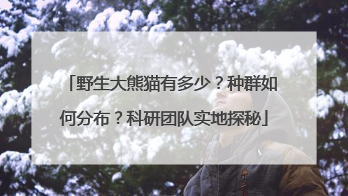 野生大熊猫有多少？种群如何分布？科研团队实地探秘