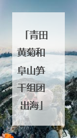 青田黄菊和阜山笋干组团出海