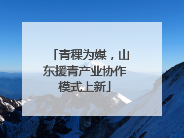 青稞为媒，山东援青产业协作模式上新