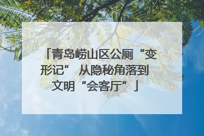 青岛崂山区公厕“变形记” 从隐秘角落到文明“会客厅”