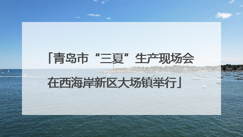 青岛市“三夏”生产现场会在西海岸新区大场镇举行