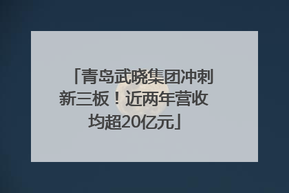 青岛武晓集团冲刺新三板！近两年营收均超20亿元