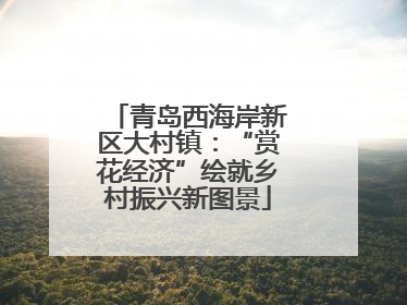 青岛西海岸新区大村镇：“赏花经济”绘就乡村振兴新图景