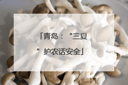 青岛：“三夏”护农话安全