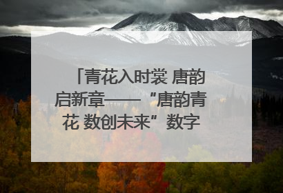 青花入时裳 唐韵启新章——“唐韵青花 数创未来”数字文创设计大赛启幕