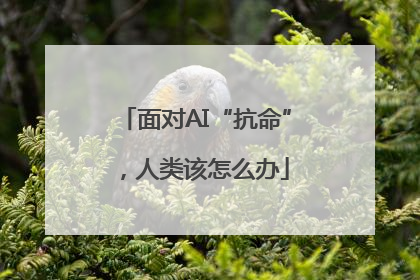 面对AI“抗命”，人类该怎么办