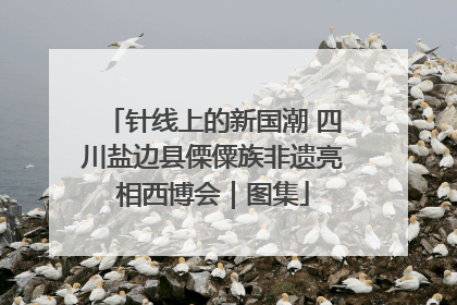 针线上的新国潮 四川盐边县傈僳族非遗亮相西博会｜图集